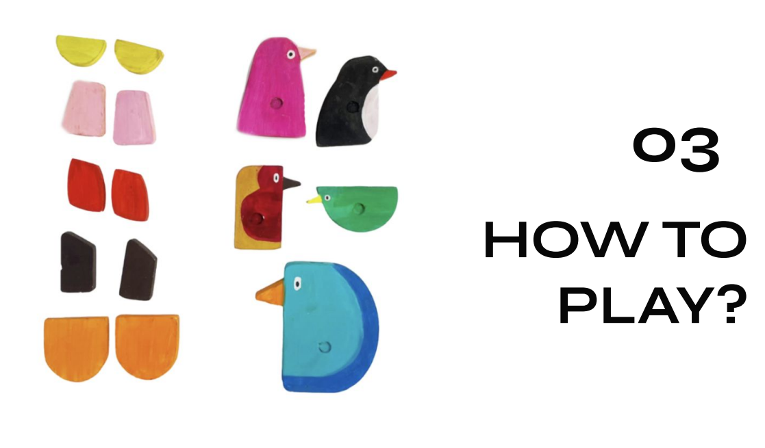 Birds and interchangeable wings laid out